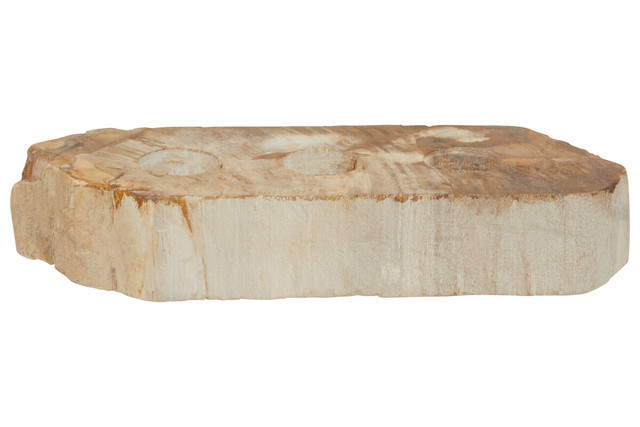 Premier Housewares Relic Petrified Wood 3 Tealight Holder