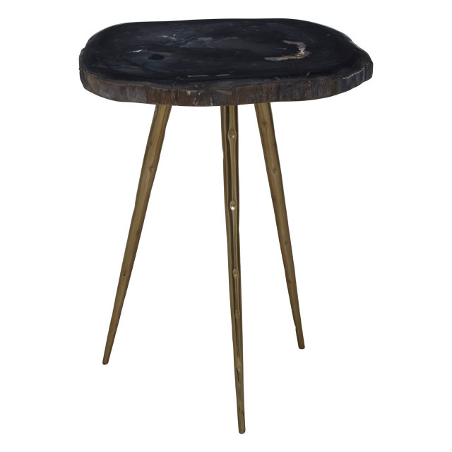 Premier Housewares Relic Petrified Wood Top And Brass Finish Legs Side Table