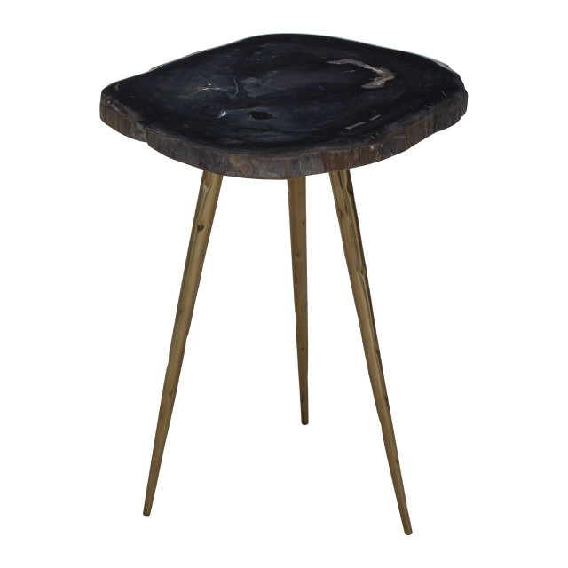 Premier Housewares Relic Petrified Wood Top And Brass Finish Legs Side Table