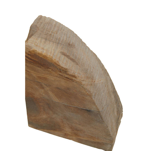 Premier Housewares Relic Set Of 2 Petrified Wood Bookends