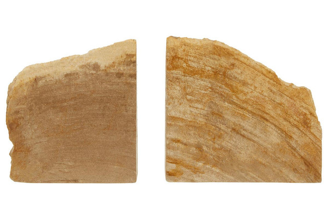 Premier Housewares Relic Set Of 2 Petrified Wood Natural Bookends