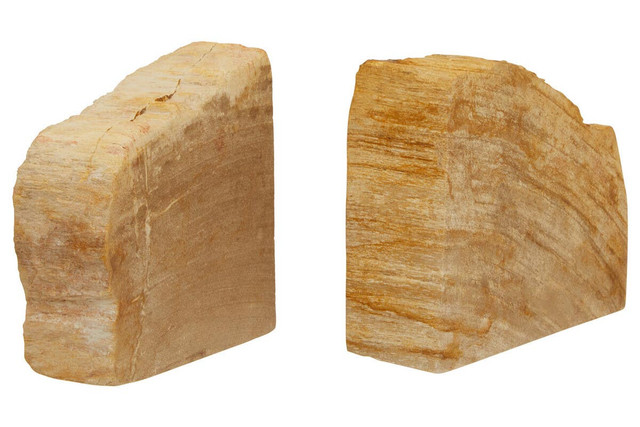 premier housewares Relic Set of 2 Petrified Wood Natural Bookends