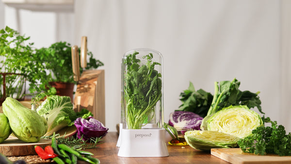 Prepara Herb Savor Eco