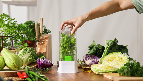 Prepara Herb Savor Original