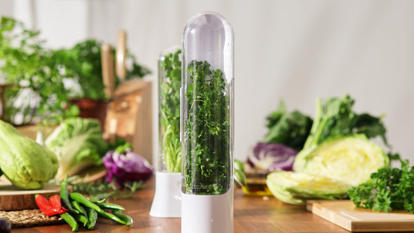 Prepara Herb Savor Pod 2.0 - Single