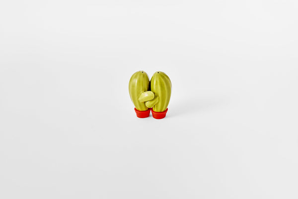 Prepara Hugging Cactus Shakers