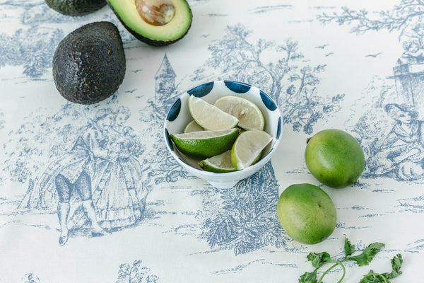 Prepara Taco Prep Bowl (Coastal Stripe)