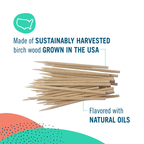 Preserve Flavored Toothpicks | 24-pack