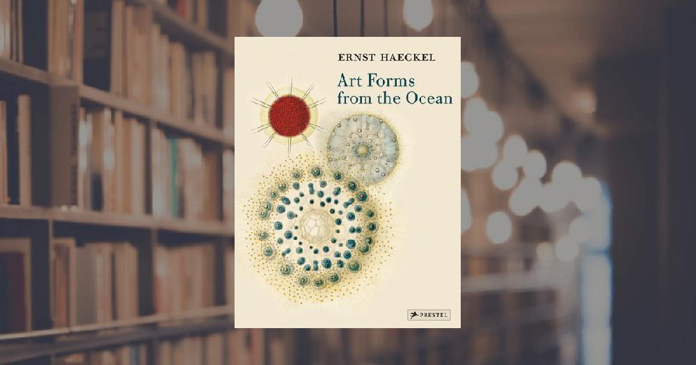 prestel publishing Haeckel: Art Forms from the Ocean