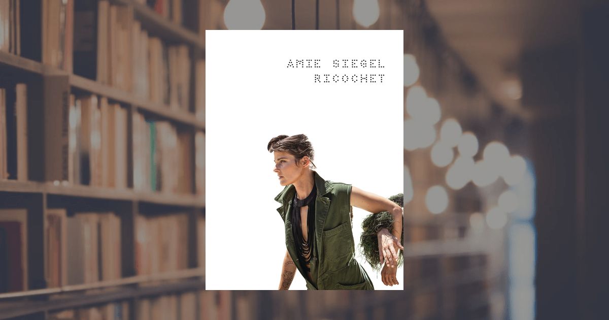 prestel publishing Amie Siegel