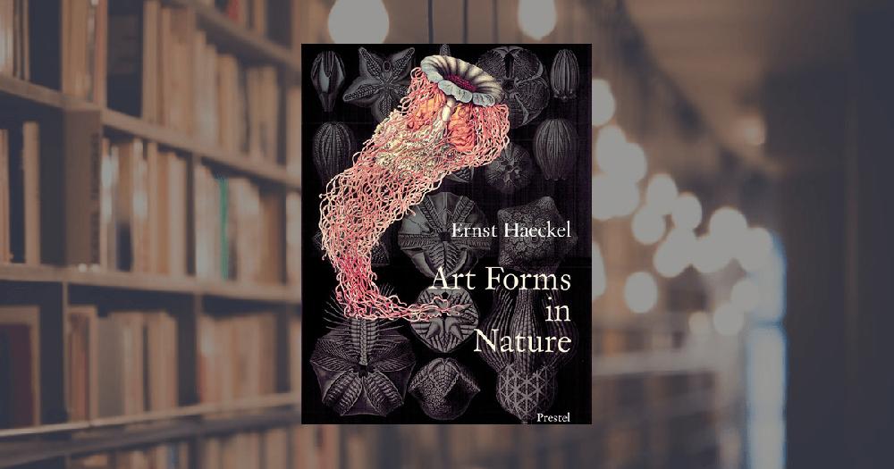 prestel publishing Art Forms in Nature