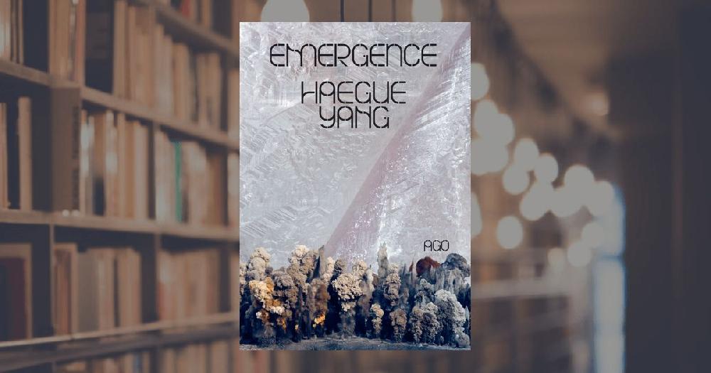 prestel publishing Haegue Yang