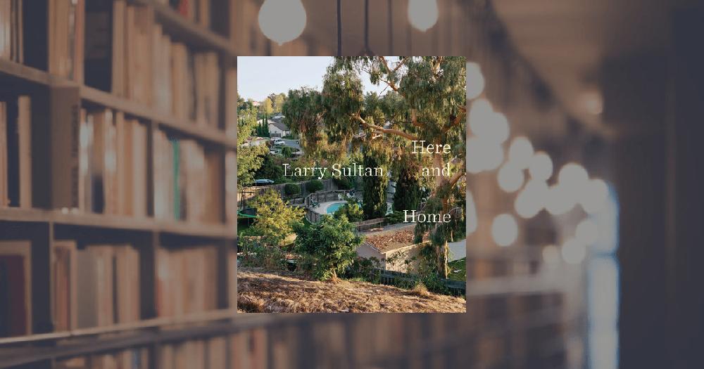 prestel publishing Larry Sultan