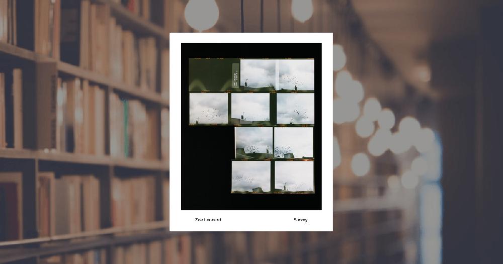 prestel publishing Zoe Leonard