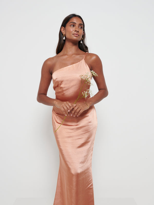 Pretty Lavish Amelia Maxi Bridesmaid Dress
