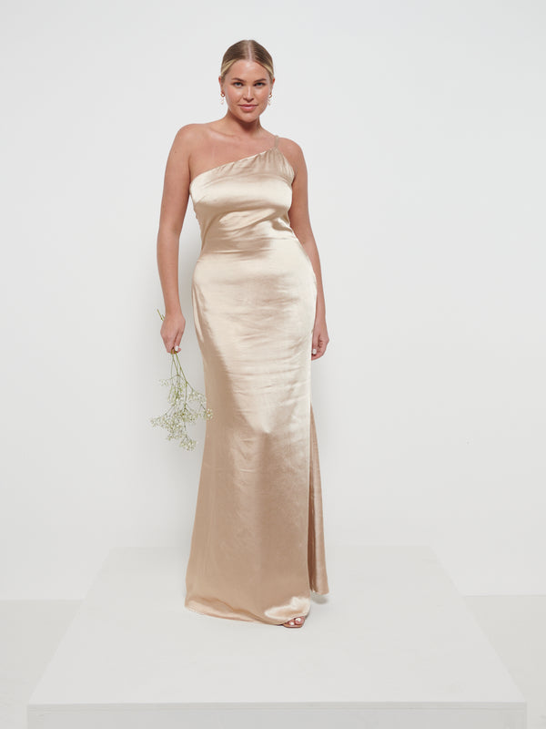 Pretty Lavish Amelia Maxi Bridesmaid Dress