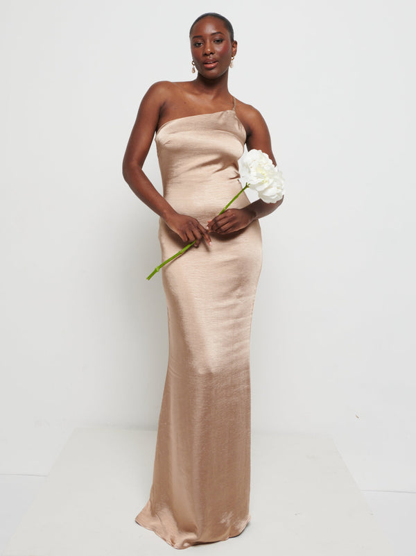 pretty lavish Amelia Maxi Bridesmaid Dress