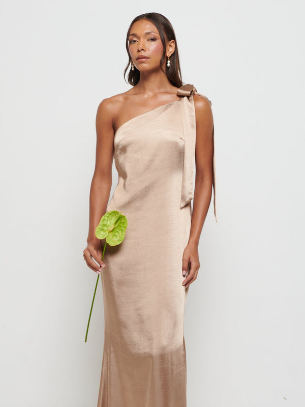 Pretty Lavish Amelia Tie Maxi Bridesmaid Dress