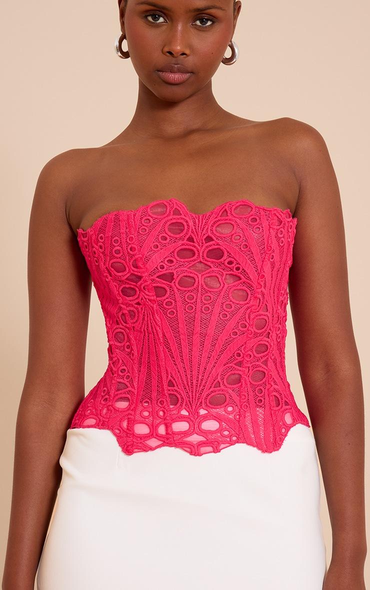 Pretty Little Thing Fuchsia Textured Sheer Floral Lace Corset