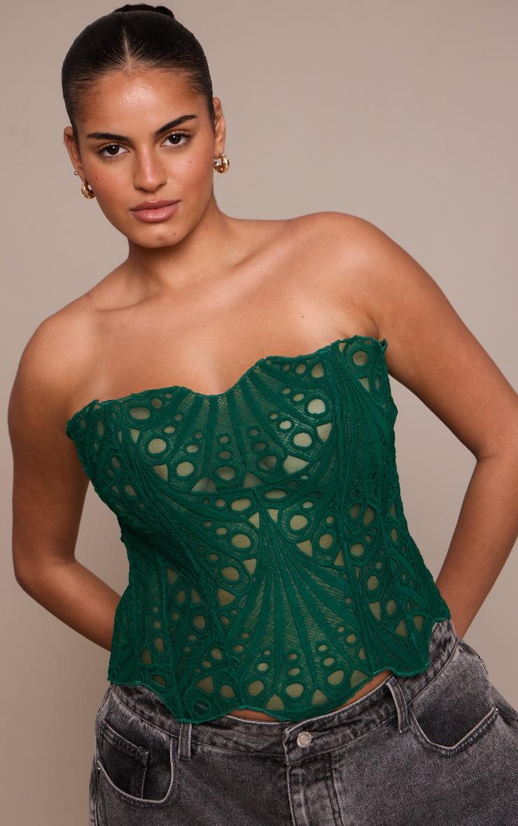 Pretty Little Thing Plus Emerald Green Textured bandeau Sheer Floral Lace Corset