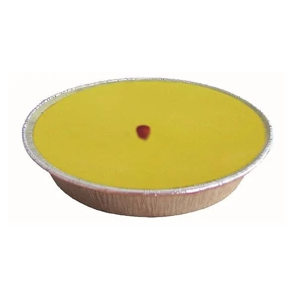 Price's Candles Citronella Terracotta Pot