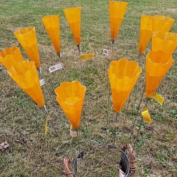 Price's Candles Garden Tea-Light Holders