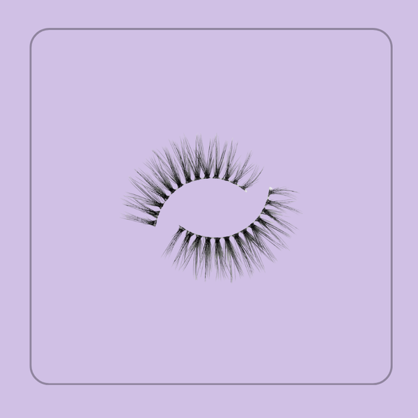 Prima Lash Professional (Dainty) Multi Layer Strip Lashes #D12
