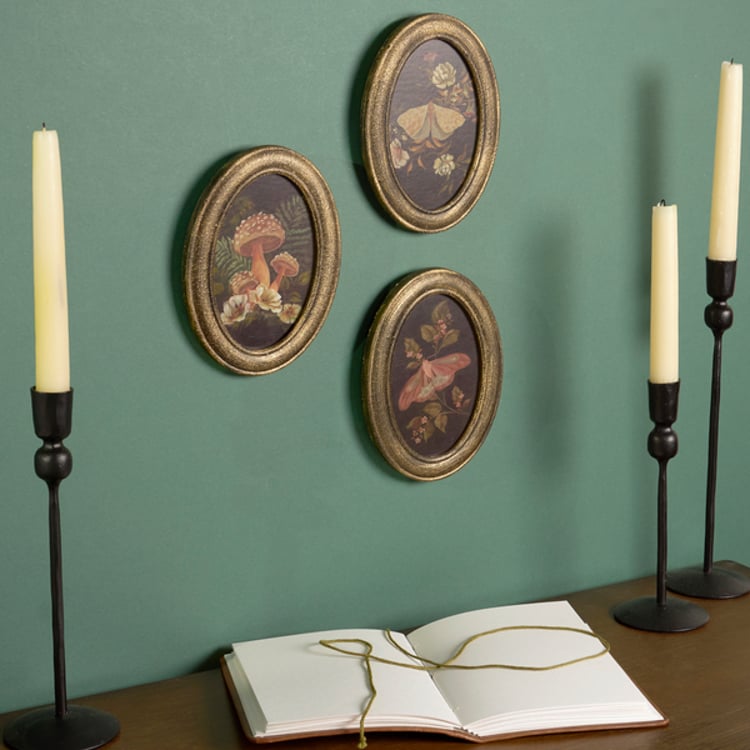 Primitives By Kathy Hidden Garden Hanging Decor Set