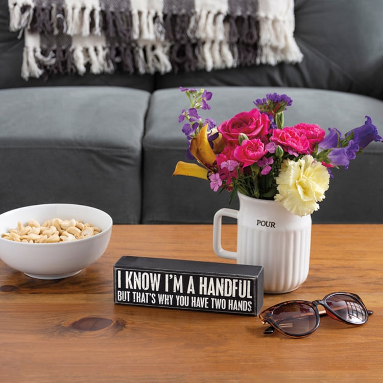 Primitives By Kathy I Know I'm A Handful But Box Sign