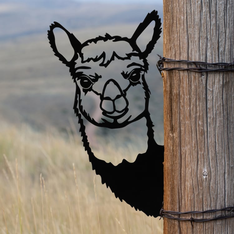 Primitives By Kathy Alpaca Metal Outdoor Art