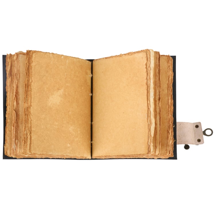 Primitives By Kathy Animal Stack Journal