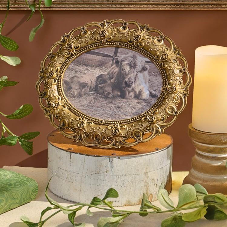 Primitives By Kathy Cottage Rose Photo Frame