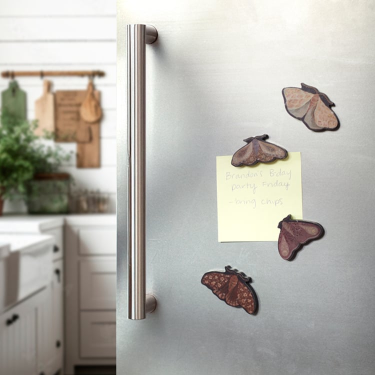 Primitives By Kathy Hidden Garden Magnet Set