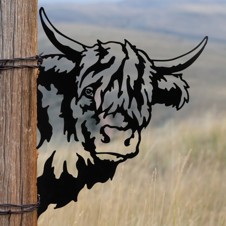 Primitives By Kathy Highland Cow Metal Outdoor Art