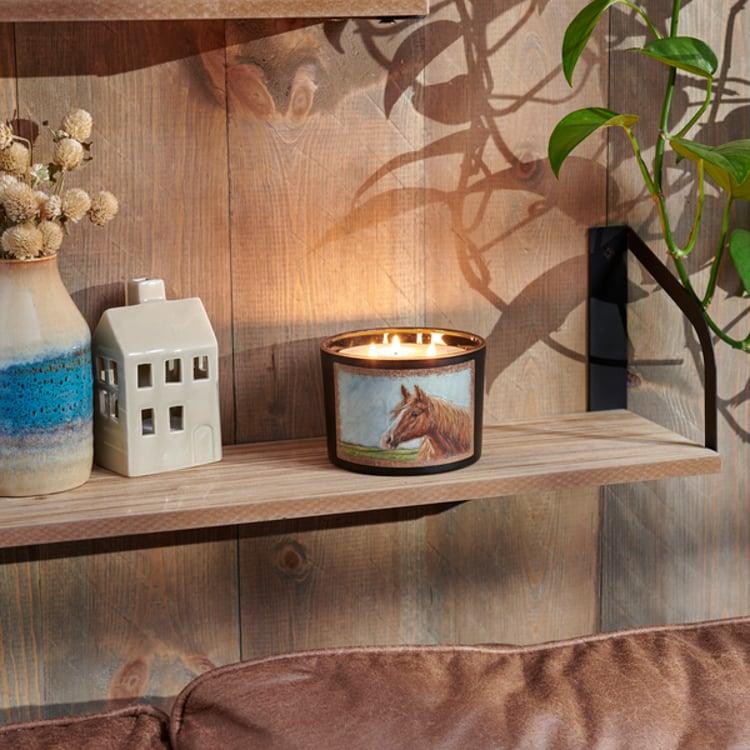 Primitives By Kathy Horse Candle