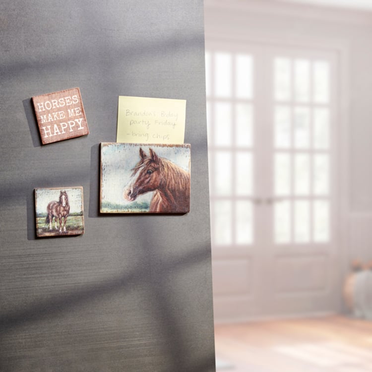 Primitives By Kathy Horse Magnet Set