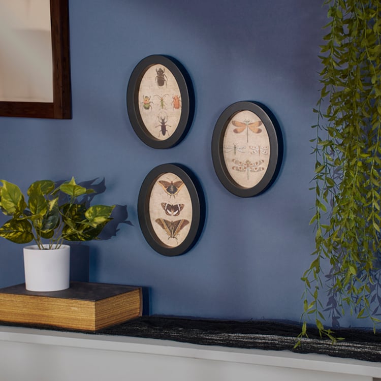 Primitives By Kathy Insect Study Hanging Decor Set