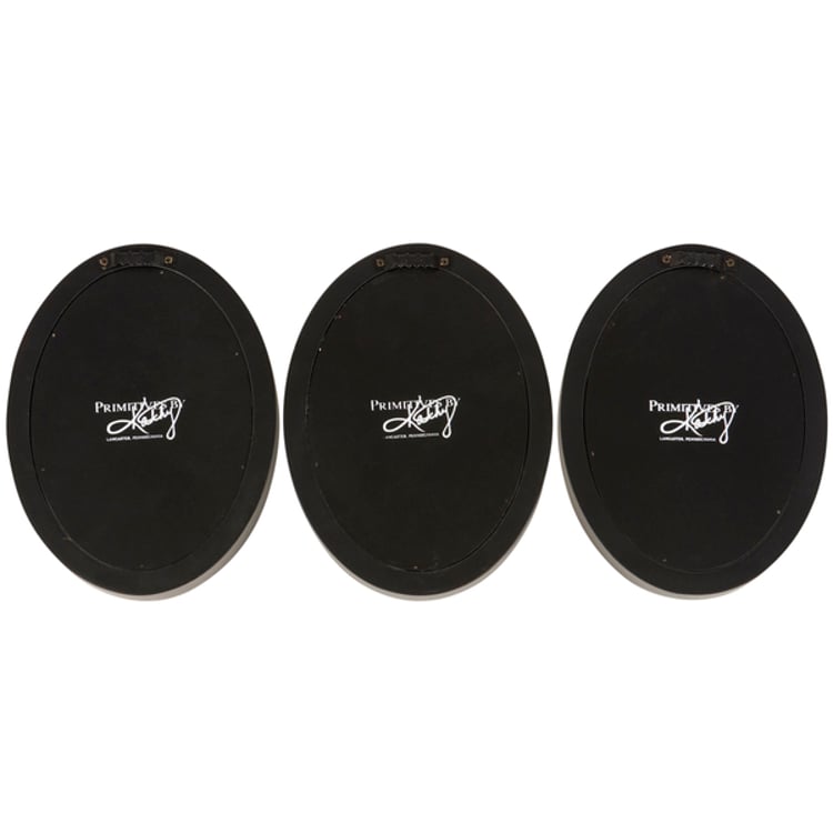 Primitives By Kathy Insect Study Hanging Decor Set