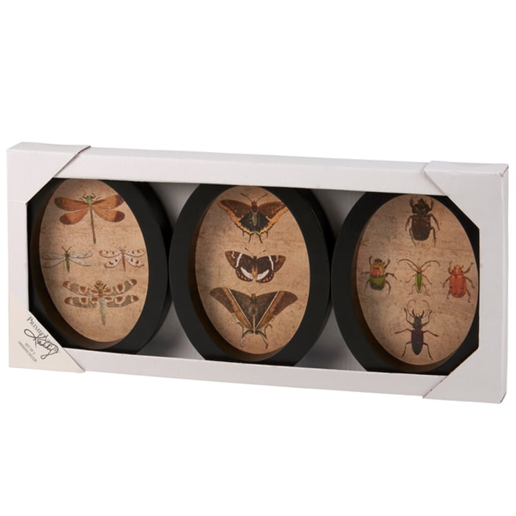 Primitives By Kathy Insect Study Hanging Decor Set