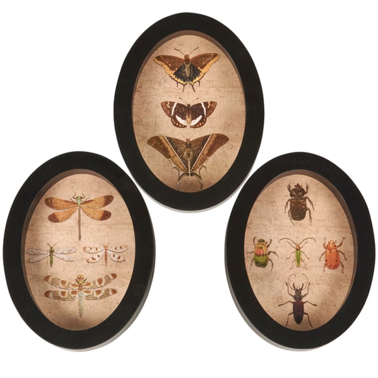 primitives by kathy Insect Study Hanging Decor Set