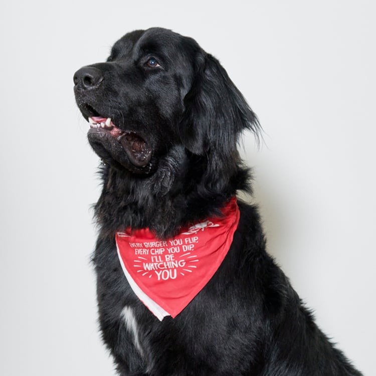 Primitives By Kathy Large Every Burger Pet Bandana