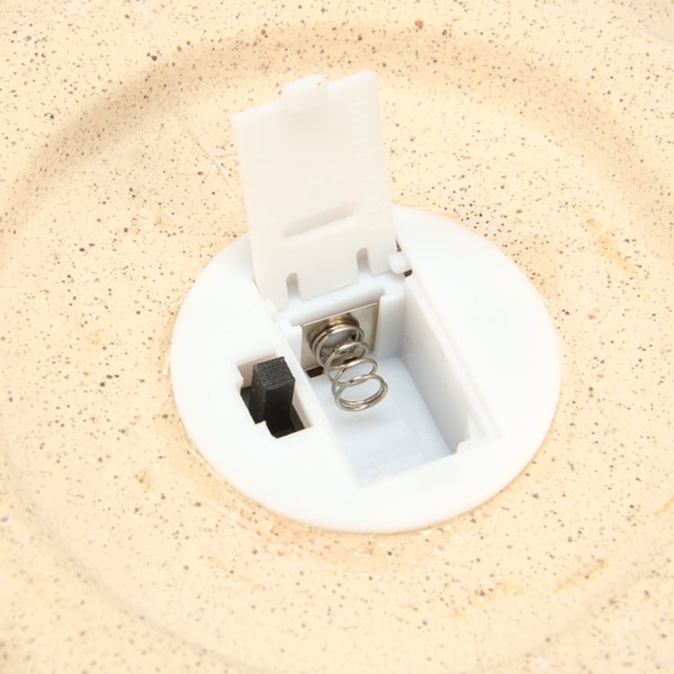 Primitives By Kathy Lighted Sea Urchin Figurine