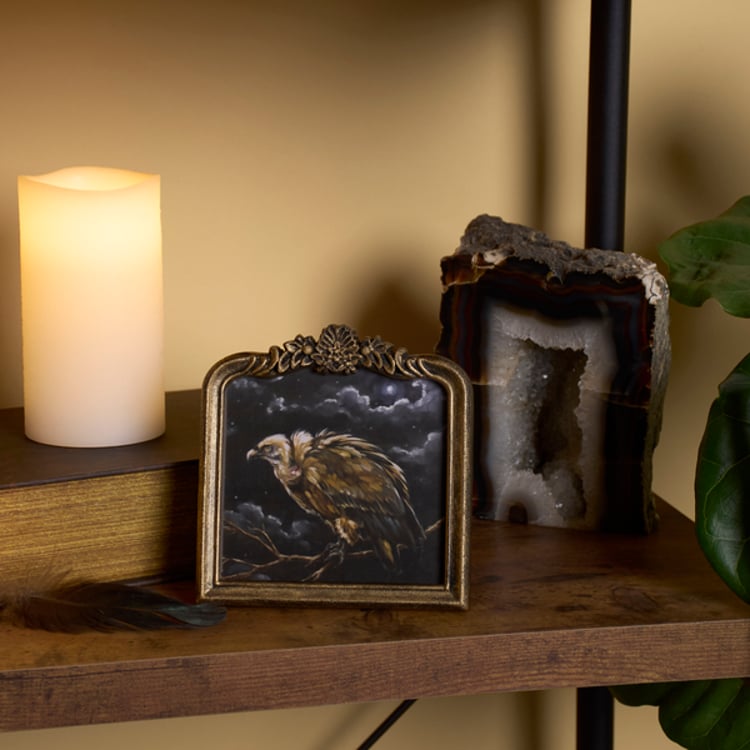 Primitives By Kathy Night Vulture Framed Art