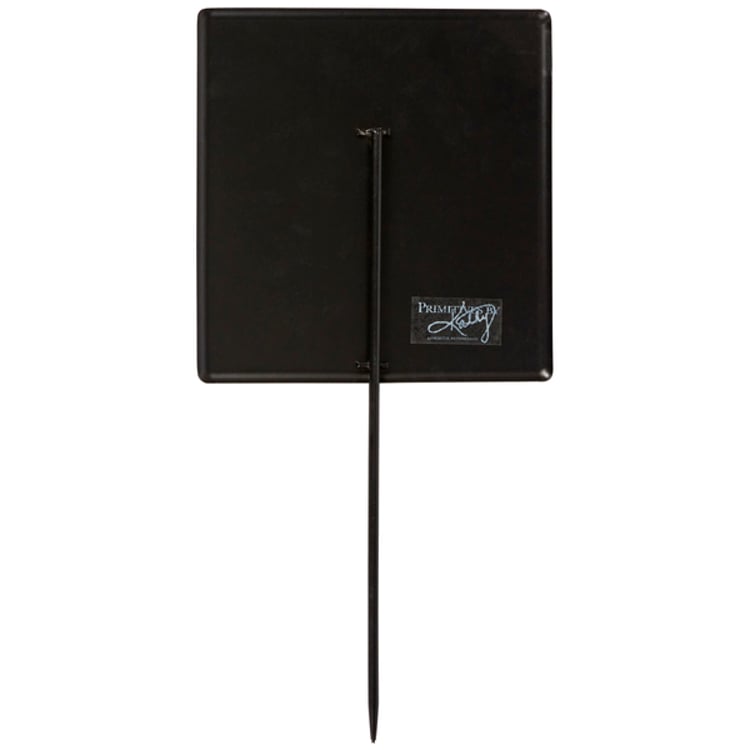 Primitives By Kathy Squatchy Area Garden Pick