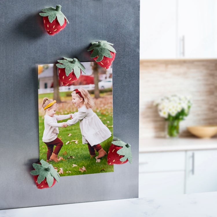 Primitives By Kathy Strawberry Magnet Set