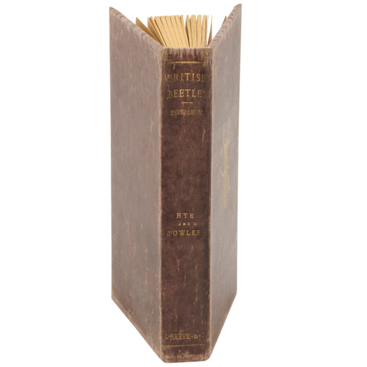 Primitives By Kathy Vintage Beetle Journal