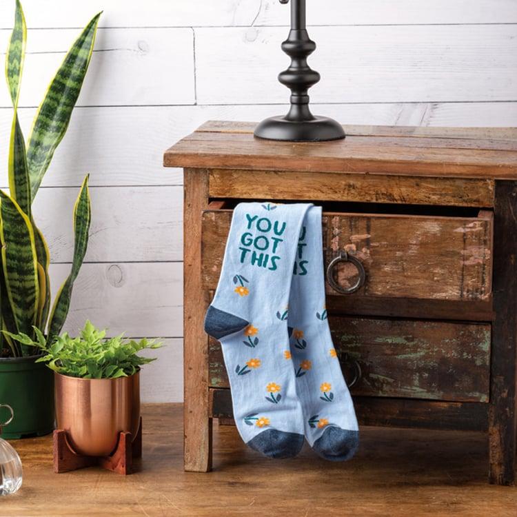 Primitives By Kathy You Got This Socks