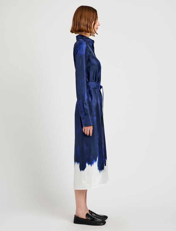Proenza Schouler Proenza Schouler Amaya Dress In Double Printed Silk Twill - Cobalt Multi