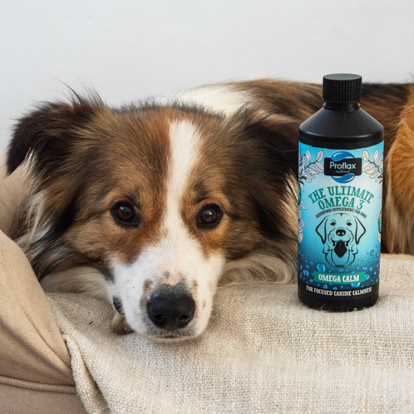 Proflax Calming Salmon Oil For Highly Anxious Dogs - Omega Calm