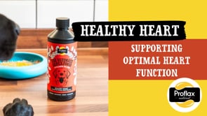 Proflax Heart & Circulation Support For Dogs - Healthy Heart